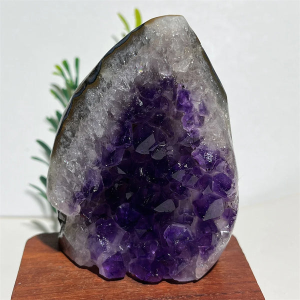 Purple Amethyst Skull Cluster-ToShay.org