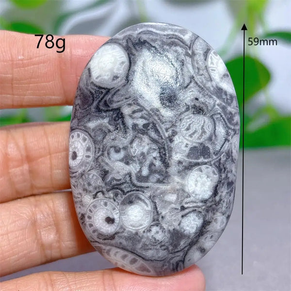 Black White Shellstone-ToShay.org