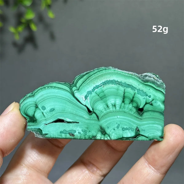 Green Malachite Slice-ToShay.org