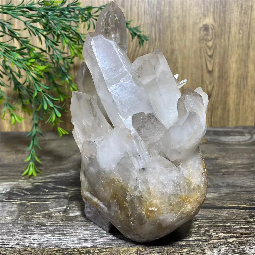 Clear Quartz Skull Cluster-ToShay.org