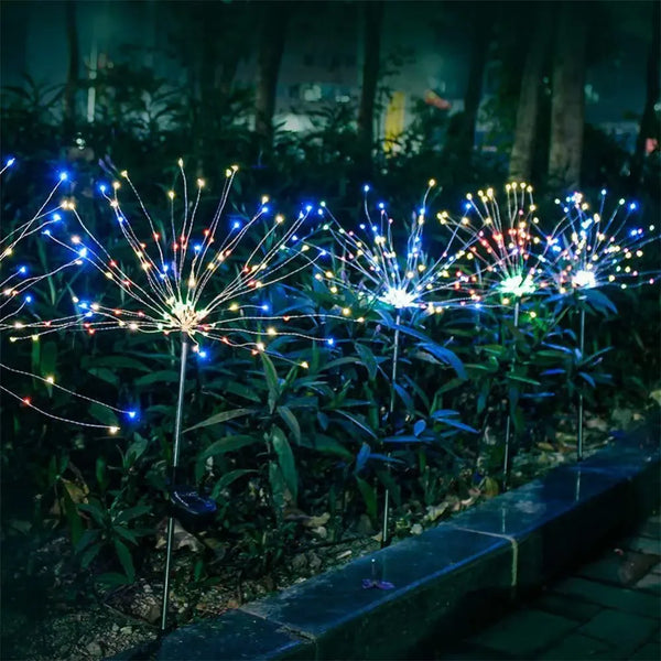 Firework Lights-ToShay.org