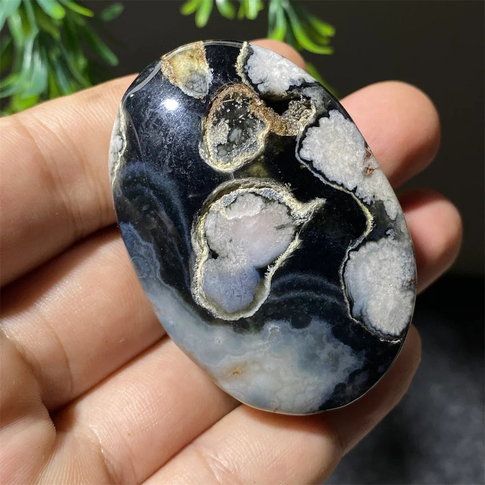 Black Flower Agate-ToShay.org