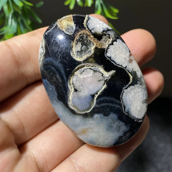 Black Flower Agate-ToShay.org