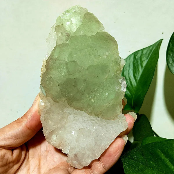 Green Sugar Fluorite Crystal-ToShay.org