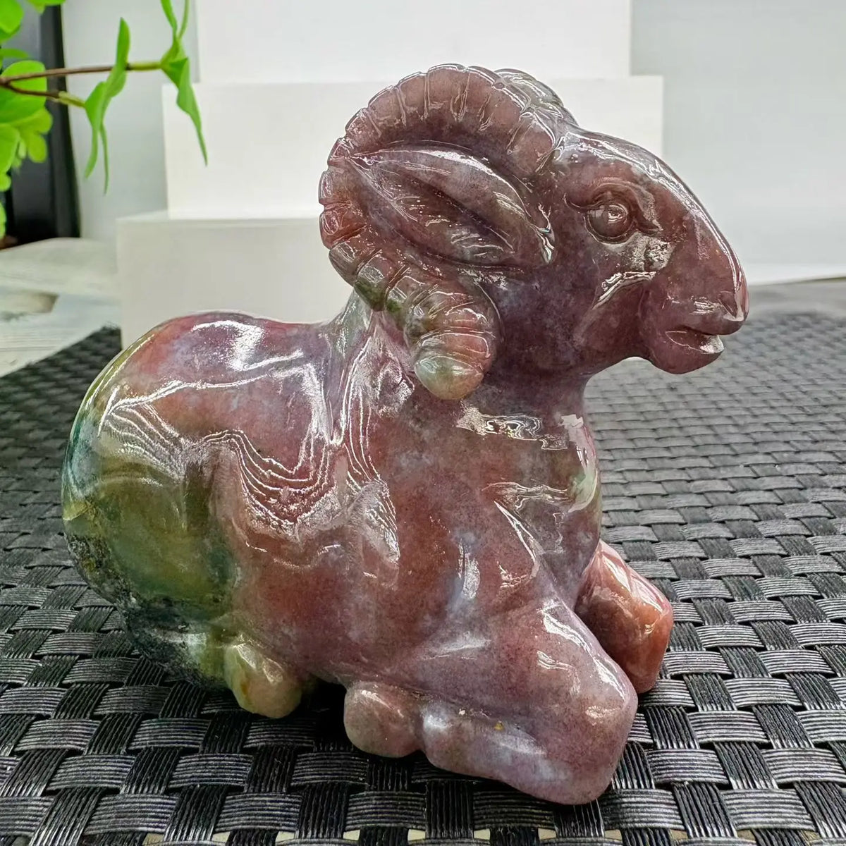 Mixed Agate Ram-ToShay.org