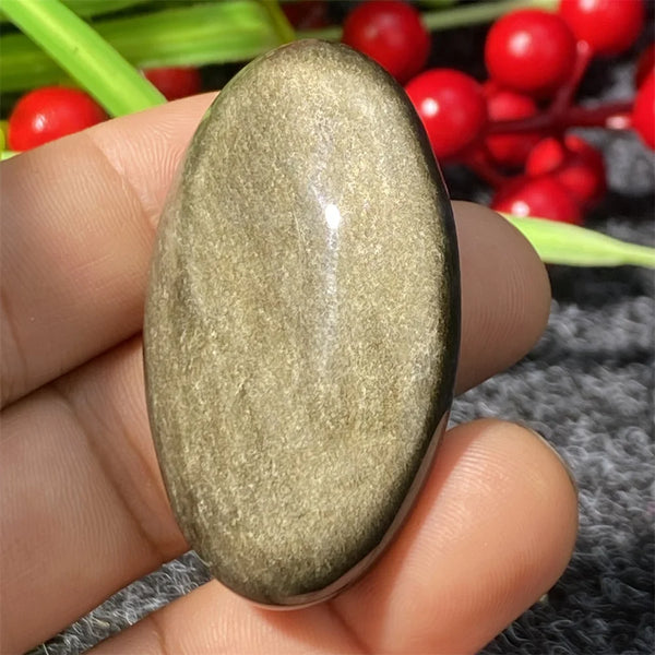 Silver Black Obsidian-ToShay.org