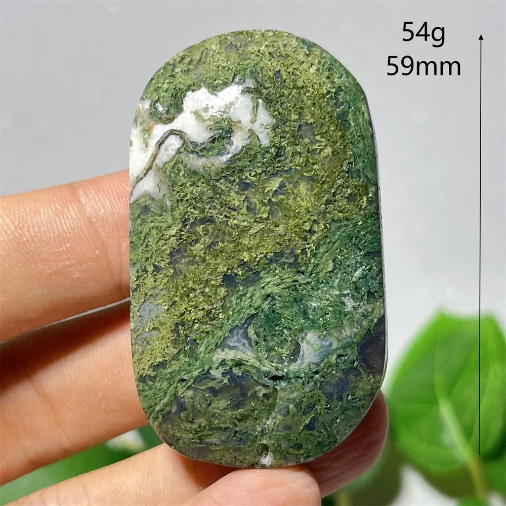 Green Moss Agate-ToShay.org