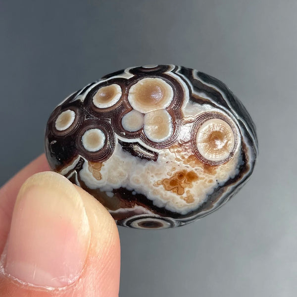 Mixed Gobi Agate Eye Rock-ToShay.org