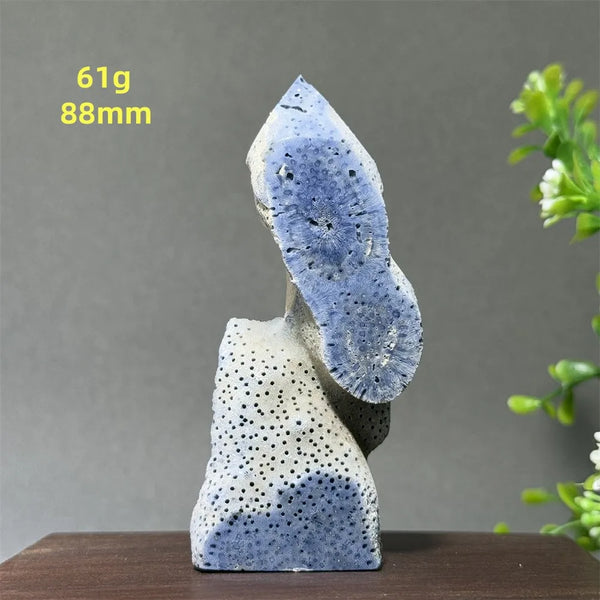 Blue Coral Crystal-ToShay.org