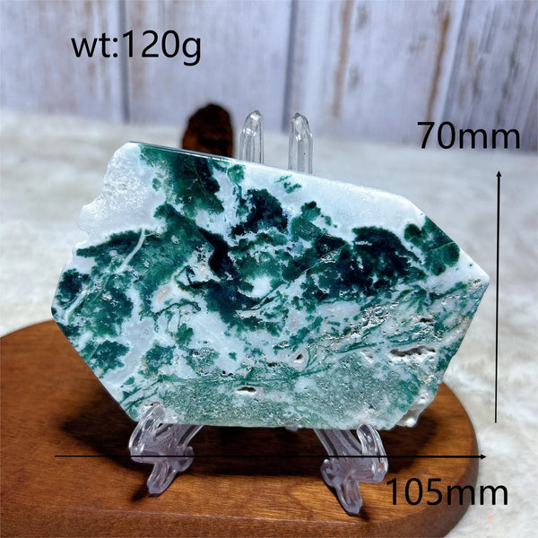 Green Moss Agate Slice-ToShay.org