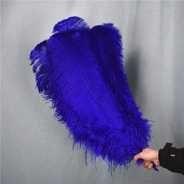 Blue Ostrich Feathers-ToShay.org