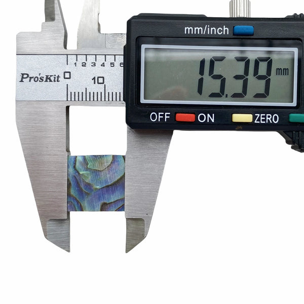 Blue Abalone Shell Slice-ToShay.org