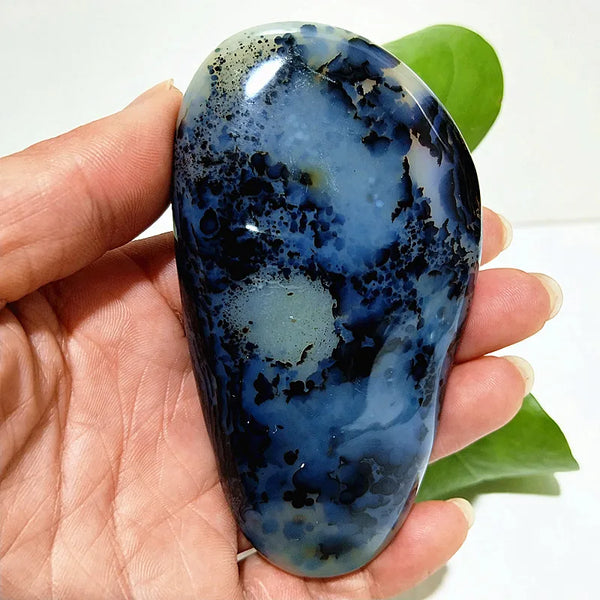 Yellow Blue Water Plant Agate-ToShay.org