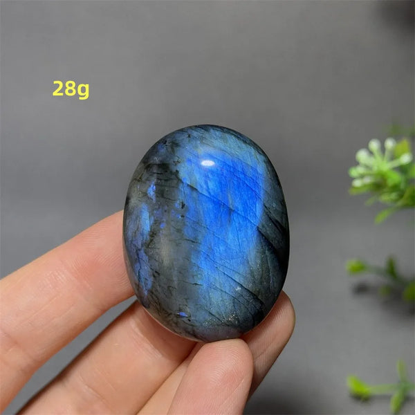 Blue Labrador Palm Stone-ToShay.org