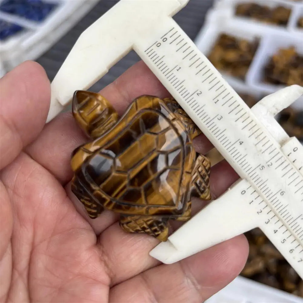 Yellow Tiger Eye Turtle-ToShay.org