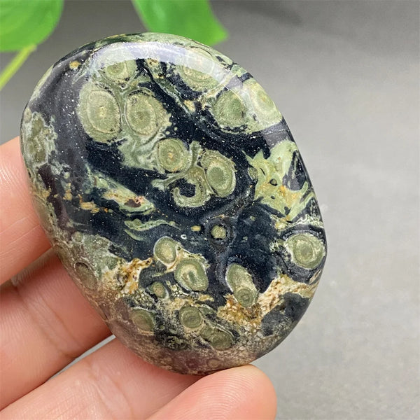 Green Peacock Eye Stone-ToShay.org
