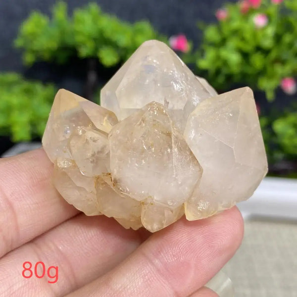 White Quartz Crystal Cluster-ToShay.org
