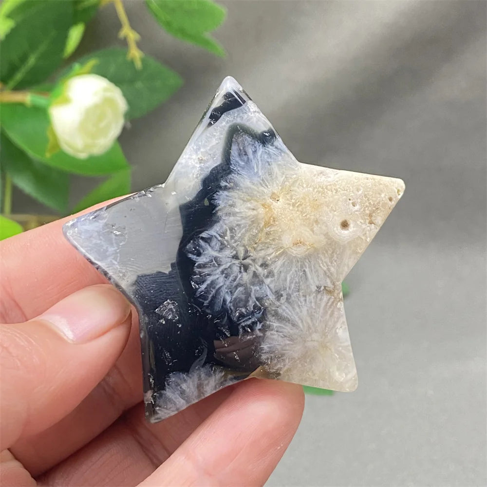 Black Cherry Blossom Agate-ToShay.org