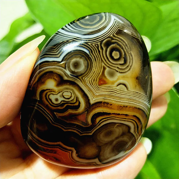 Red Lace Sardonyx Agate-ToShay.org