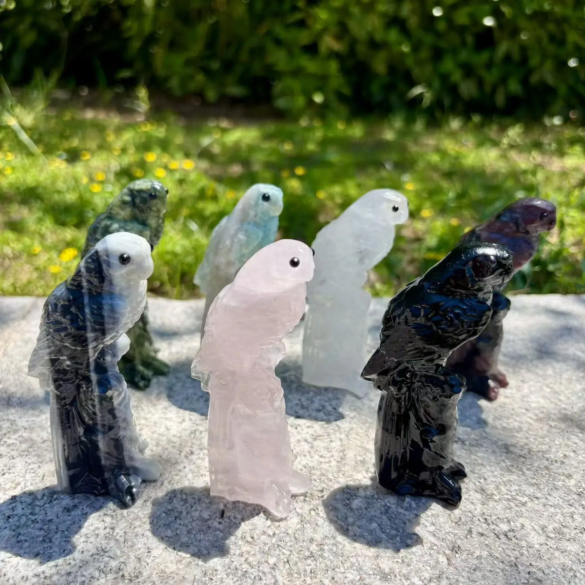 Mixed Quartz Parrots-ToShay.org