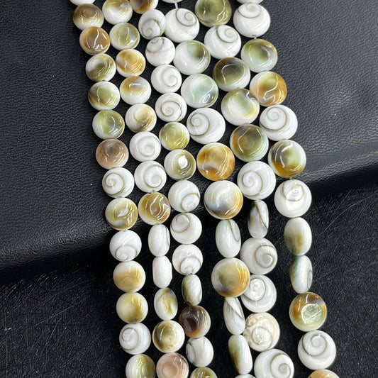 White Conch Shell Beads-ToShay.org