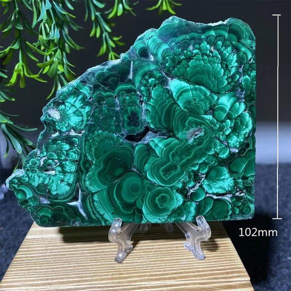 Green Malachite Slice-ToShay.org