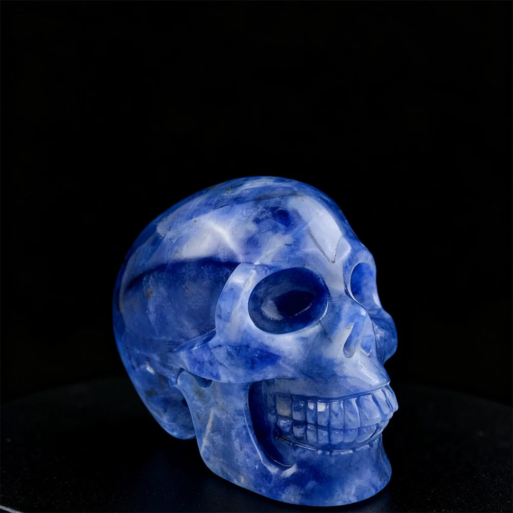 Blue White Porcelain Skull-ToShay.org