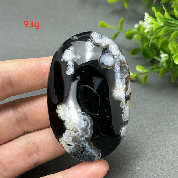 Black Cherry Blossom Agate-ToShay.org