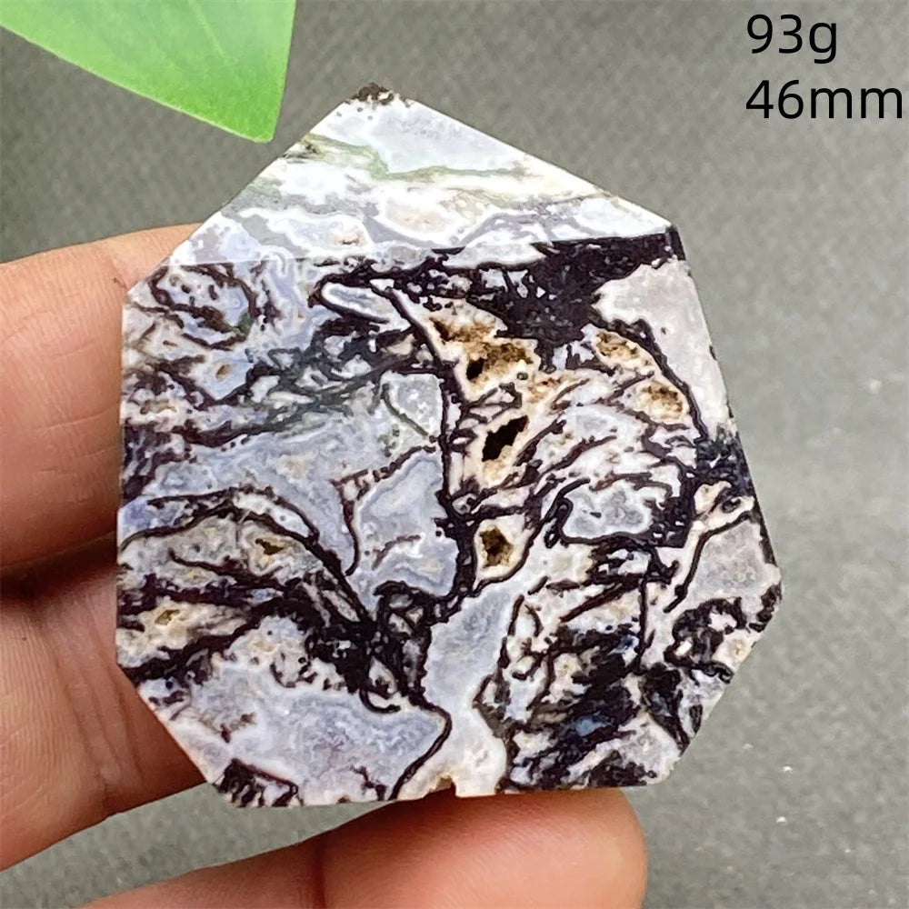 Green Water Plant Agate-ToShay.org