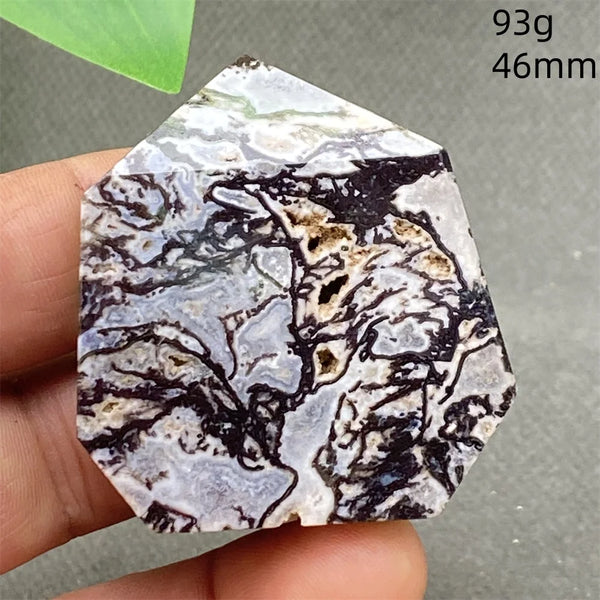 Green Water Plant Agate-ToShay.org