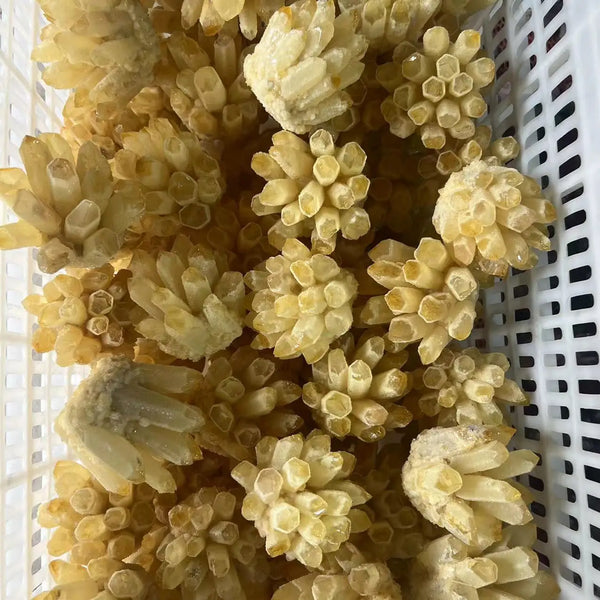 Green Citrine Quartz Crystal Cluster-ToShay.org