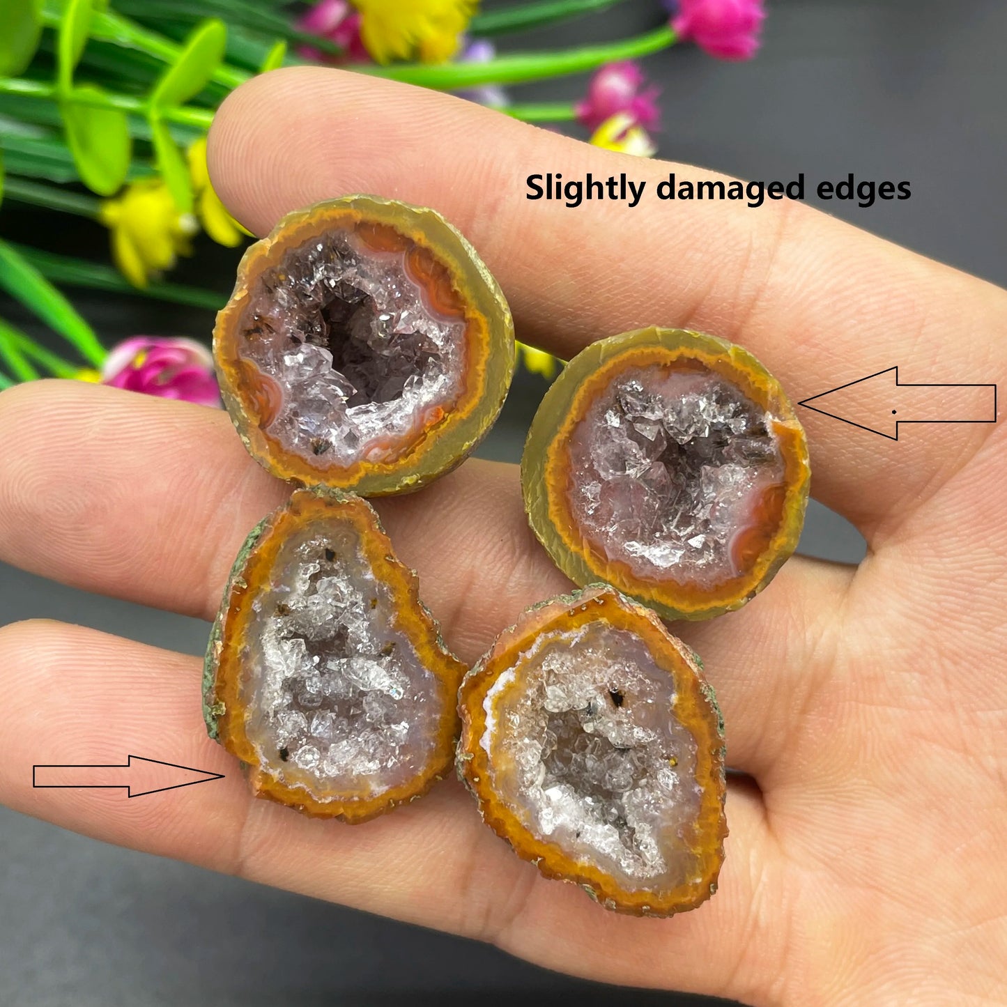 Mixed Agate Geode Eggs-ToShay.org