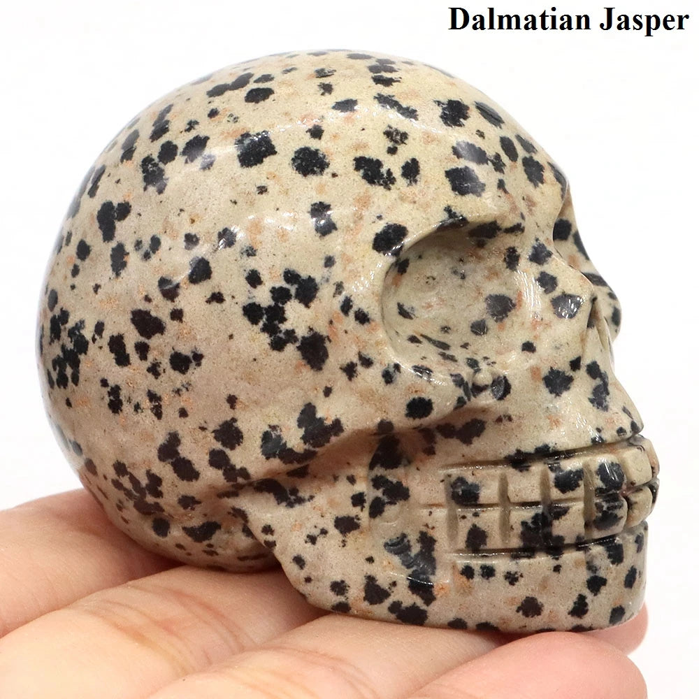Mixed Crystal Skull-ToShay.org