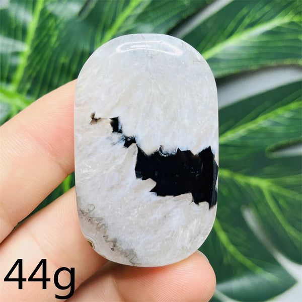 Black White Agate Palm Stone-ToShay.org