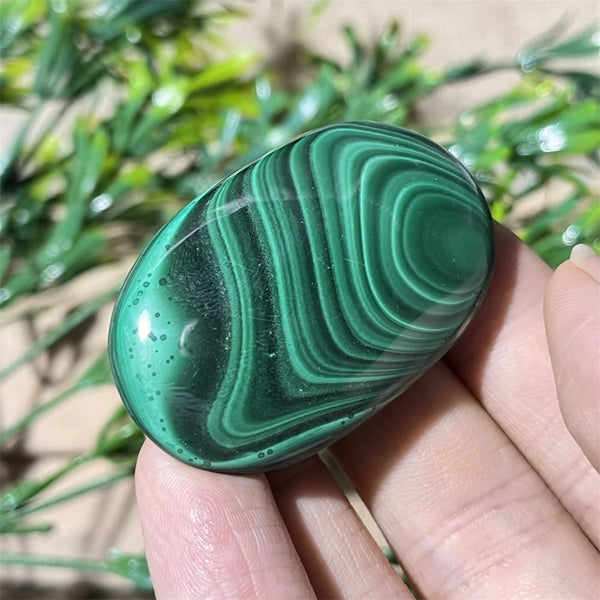 Green Malachite Palm Stone-ToShay.org