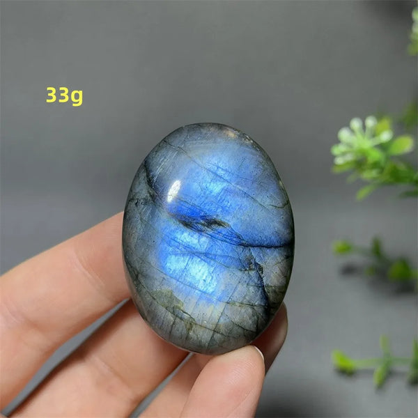 Blue Labrador Palm Stone-ToShay.org
