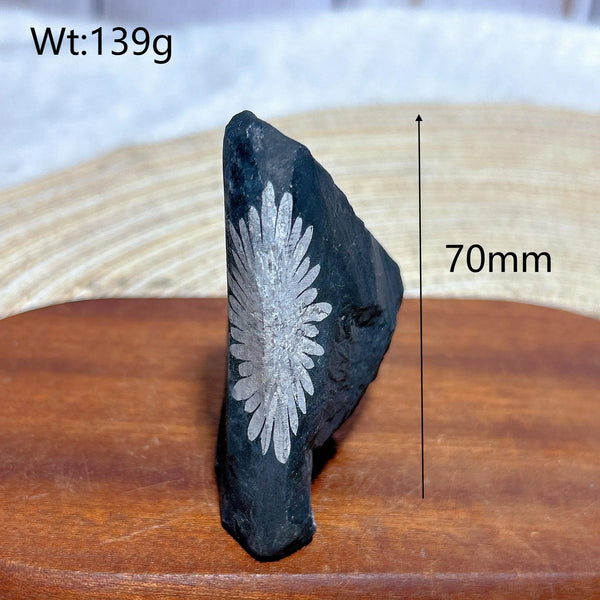 Black Chrysanthemum Raw Stone-ToShay.org