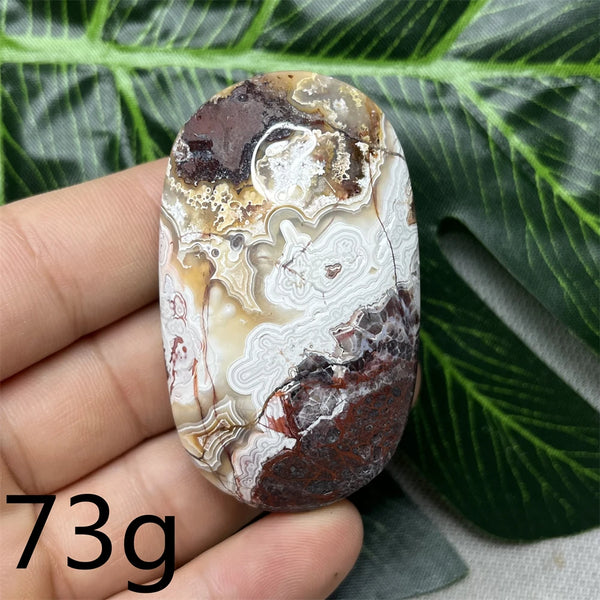 Red Crazy Agate Palm Stone-ToShay.org