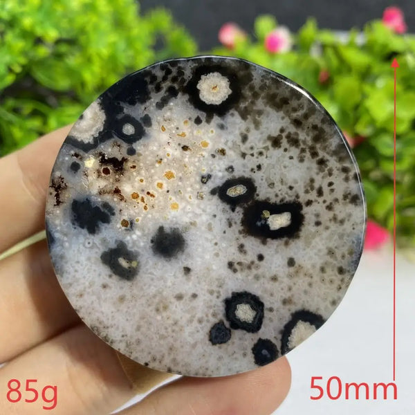 Black Agate Slice-ToShay.org