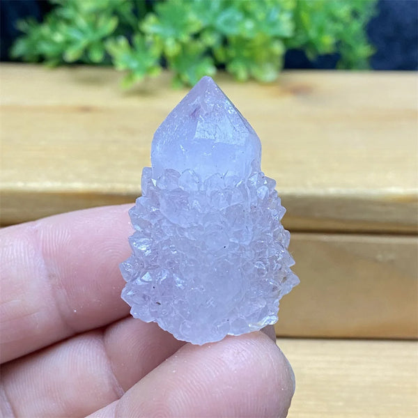 Purple Cactus Crystal Cluster-ToShay.org