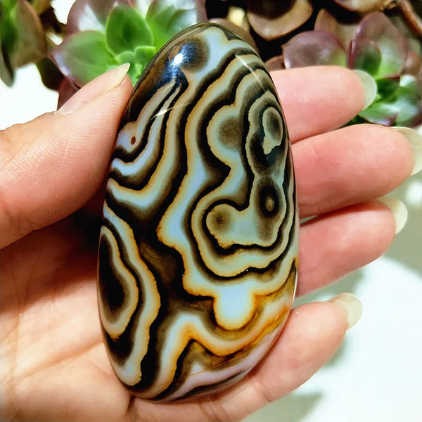 Red Lace Sardonyx Agate-ToShay.org