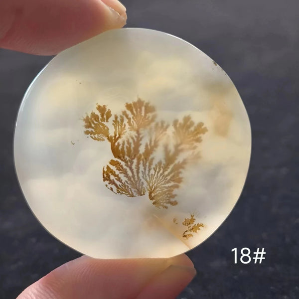 White Onyx Ocean Chalcedony-ToShay.org