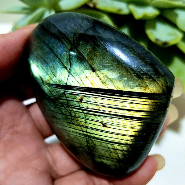 Blue Labrador Stone Heart-ToShay.org