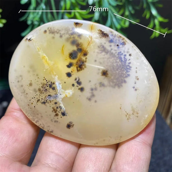White Ink Moss Tree Agate-ToShay.org