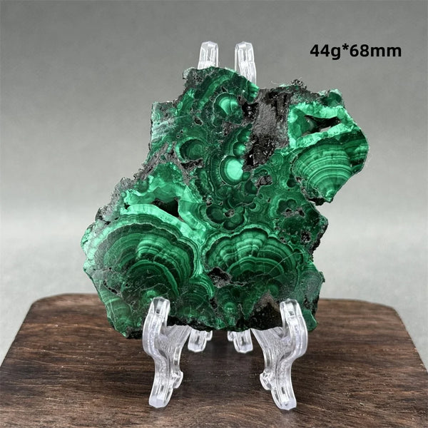 Green Malachite Raw Slice-ToShay.org