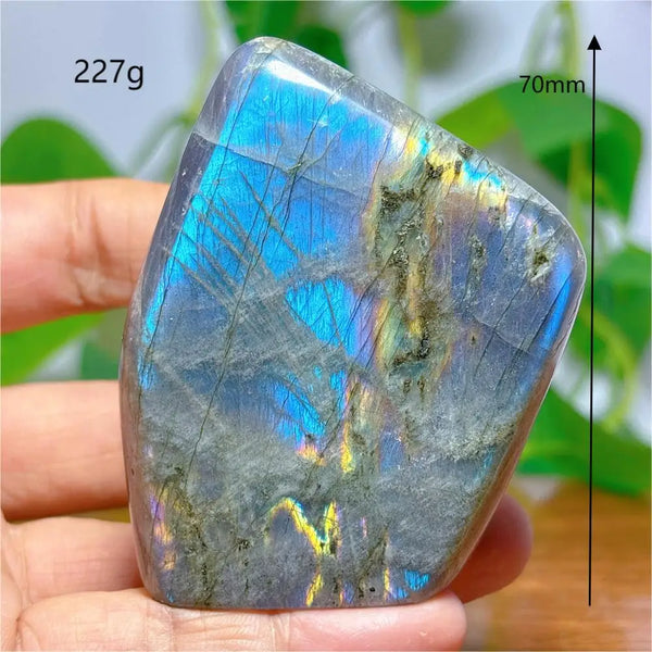 Purple Labradorite Crystal-ToShay.org