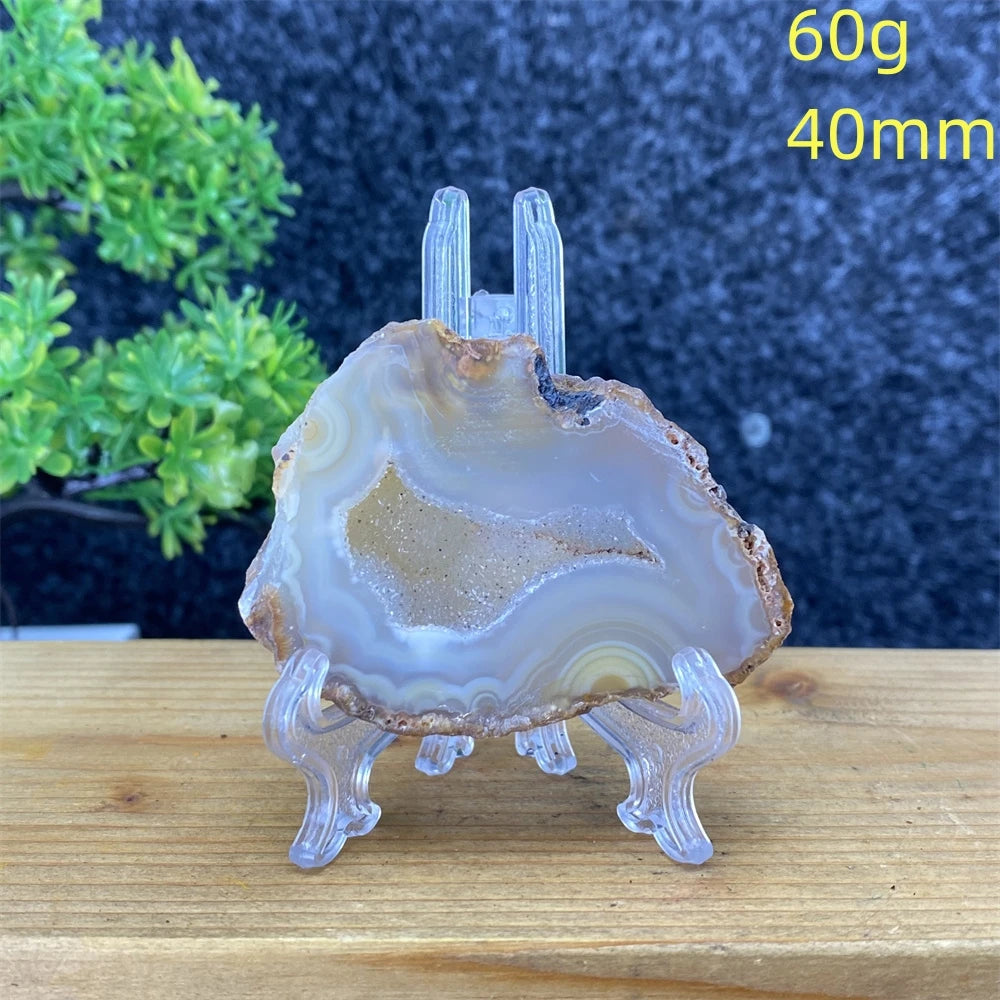 White Agate Geode Slices-ToShay.org