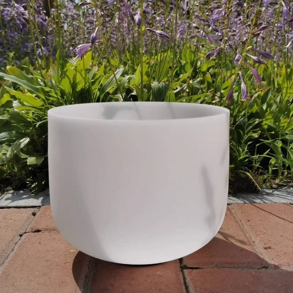 White Frosted Crystal Bowls-ToShay.org
