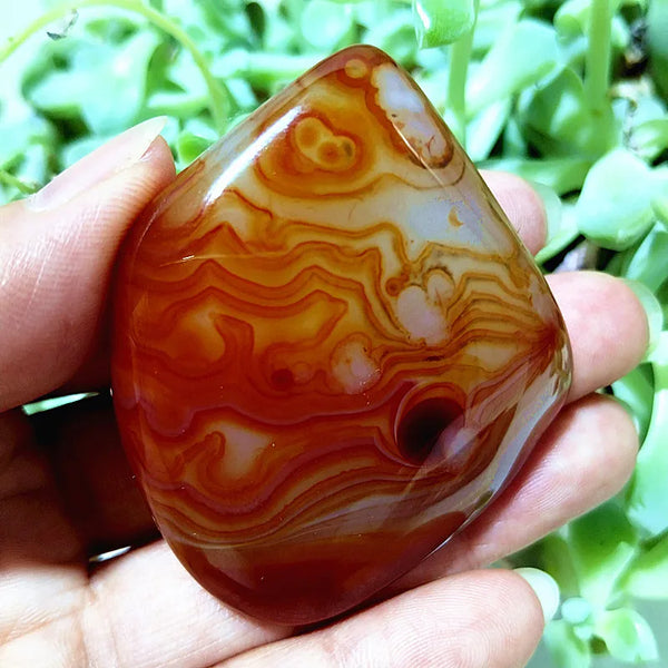 Red Sardonyx Lace Agate-ToShay.org