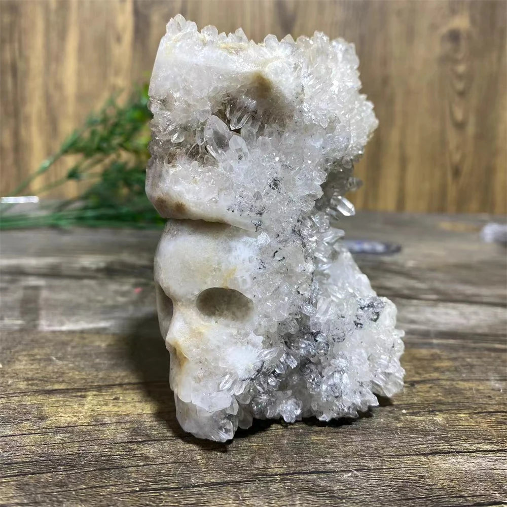 White Chrysanthemum Stone Skull-ToShay.org